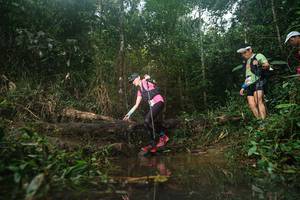 BIB: 
                            <button type="button" onclick="openModal(22531725)" class="btn btn-primary btn-sm float-right btn-popup" data-toggle="modal" data-target=".modal-high-quality">
                        <i class="fas fa-shopping-cart"></i> Add to Cart
                    </button>
                                            <button type="button" onclick="isThisMe(22531725, true)" class="btn btn-success btn-sm float-right btn-popup btn-isme hidden" data-toggle="tooltip" data-placement="bottom" title="นี่คือรูปของคุณใช่ไหม คลิกที่นี่เพื่อเอาเข้าอัลบั้ม">
                        <i class="fas fa-plus"></i> Add to album
                    </button>
                    <button type="button" onclick="isThisMe(22531725, false)" class="btn btn-warning btn-sm float-right btn-popup btn-isnotme hidden">
                        <i class="fas fa-ban"></i> Remove from album
                    </button>